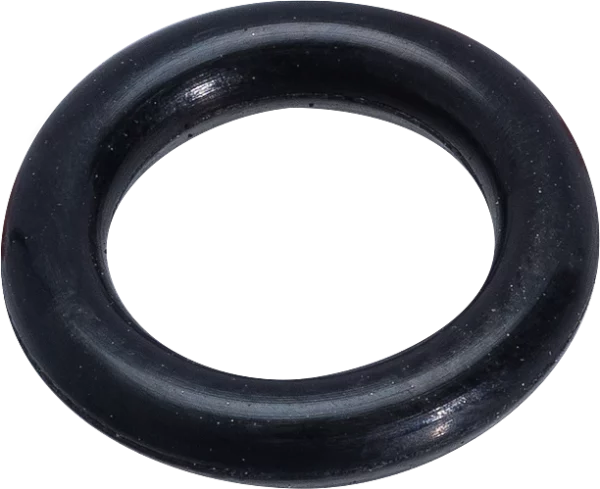 Valve O-Ring